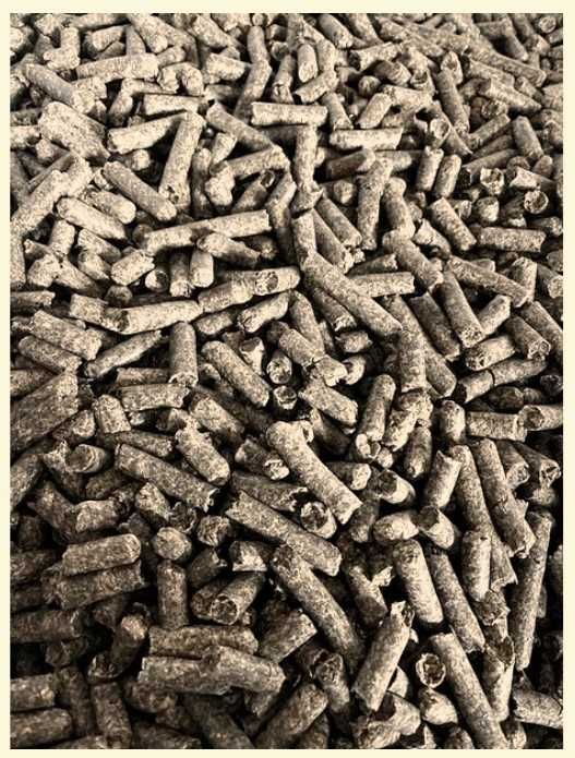 Wysłodki buraczane suche