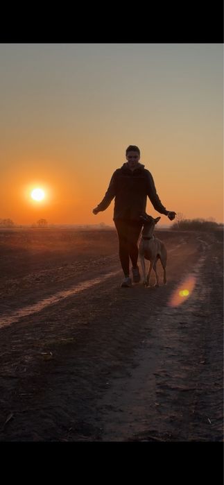 Кінолог Київ Троєщина