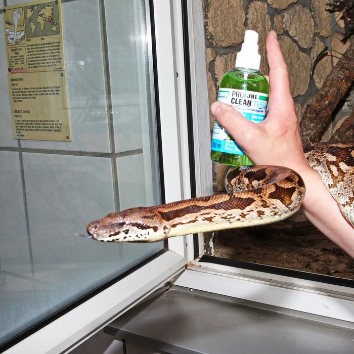 Środek  do czyszczenia szyb terrarium  - akwarystyczne