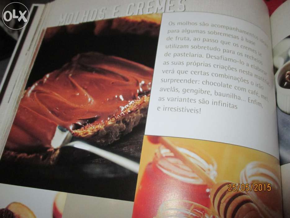 Livro - Paixão pelo chocolate - Adriana Ortemberg - (novo)