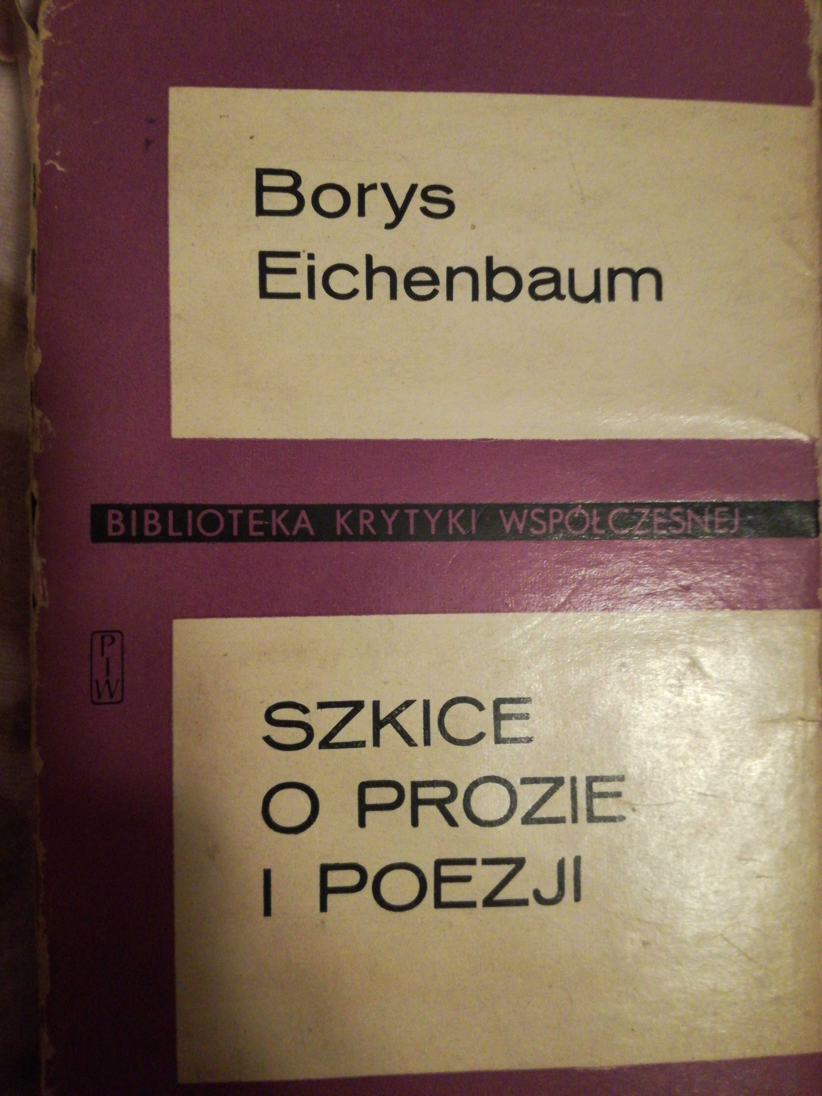 Szkice o prozie I poezji Borys Eichenbaum