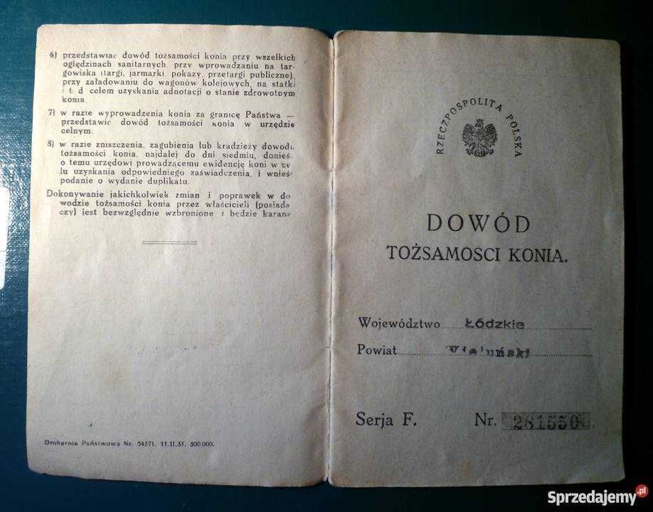 ANTYK - 1934... Dowód tożsamości KONIA !!!