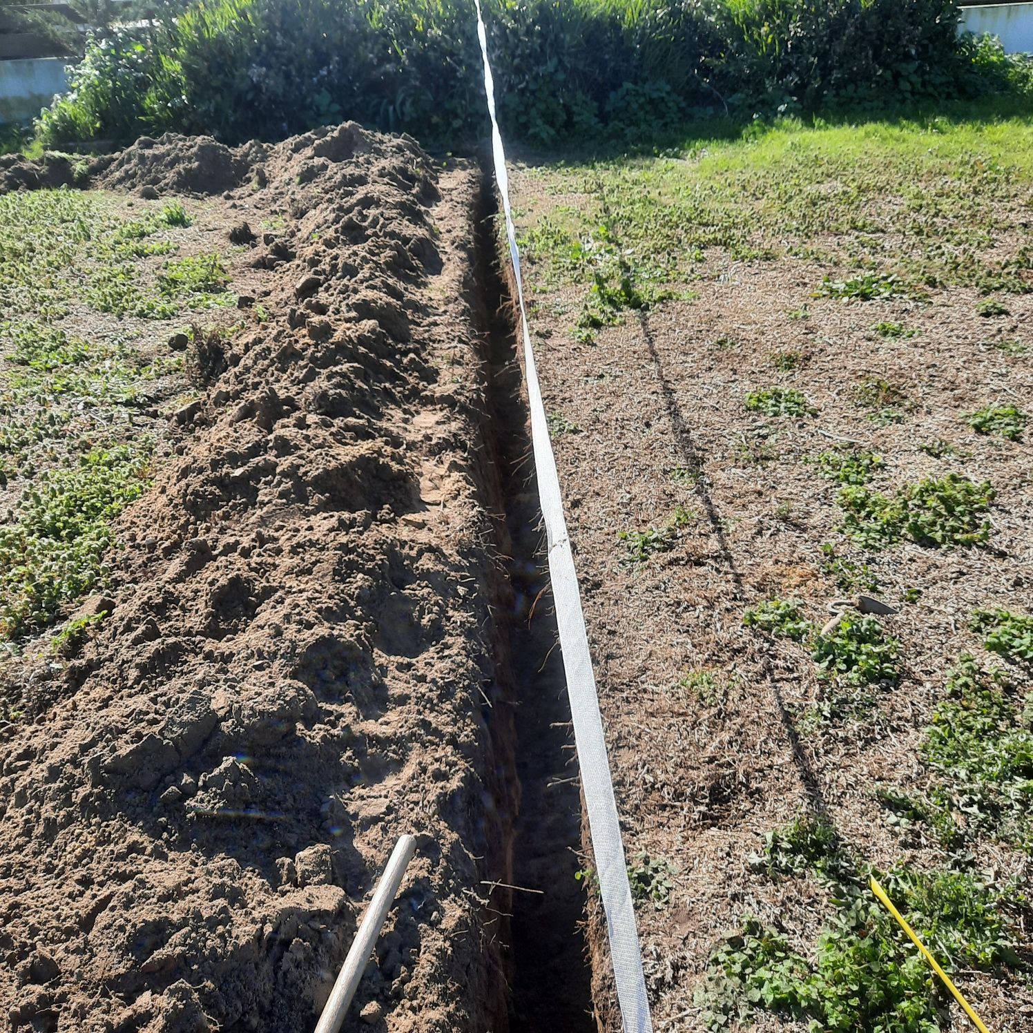 Transforme Seu Jardim! Serviços de Jardinagem com Qualidade  Dedicação