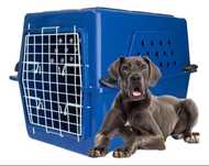 Caixa de transporte de cachorro para avião