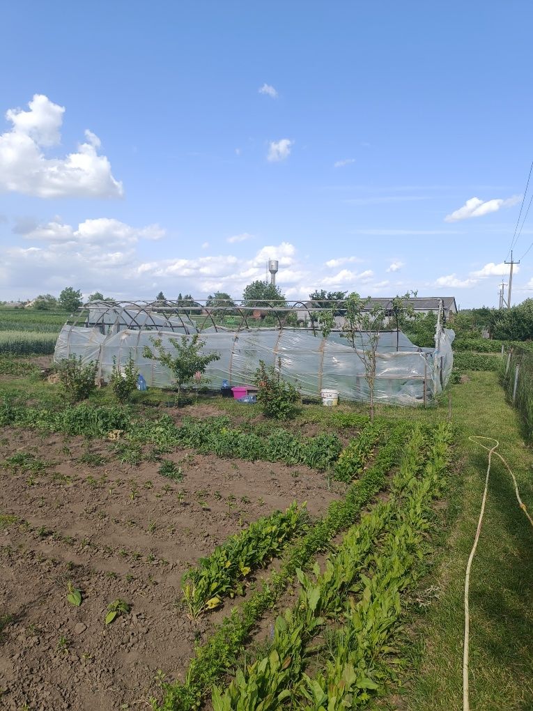 Продам теплицю б/в