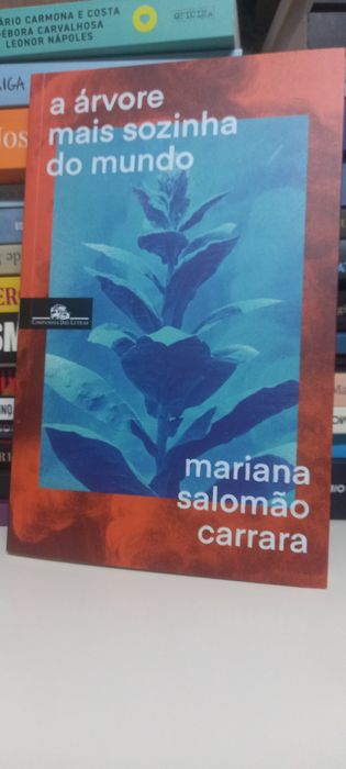 A Árvore Mais Sozinha ou Mundo
