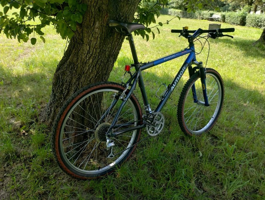 Rower Author Basic SX