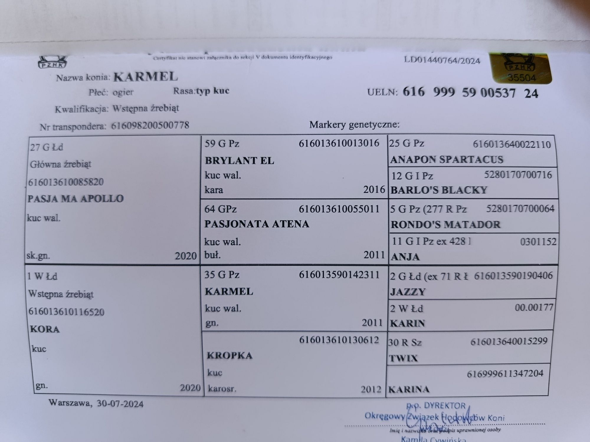 Sprzedam ogierka walijskiego