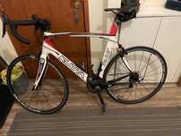 Kuota kult carbono