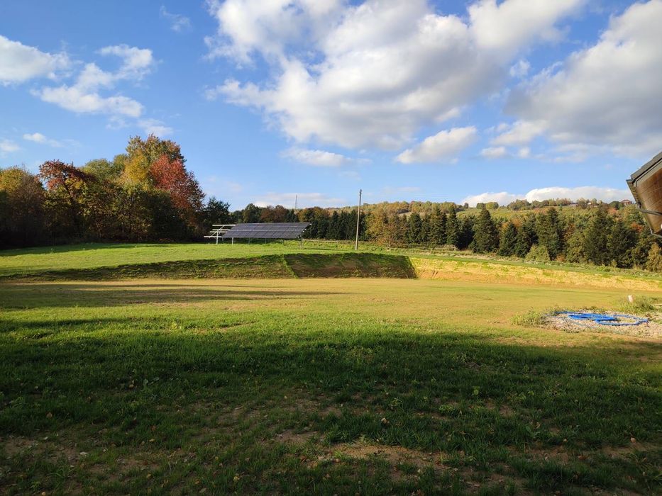 Usługi ogrodnicze BEE.GARDEN