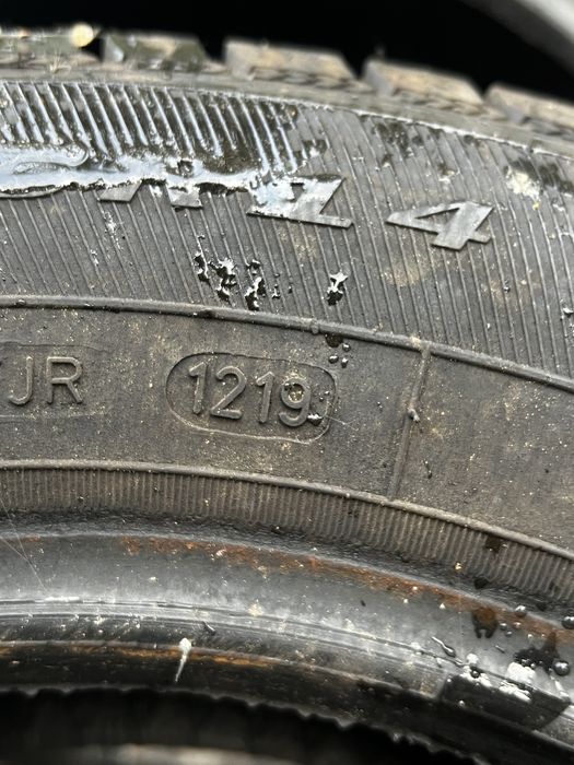 Opony zimowe Dębica Frigo 2 175/65 R14