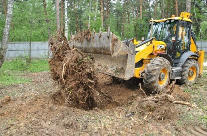 Расчистка территории, Спил деревьев, уборка участка Выравнивание