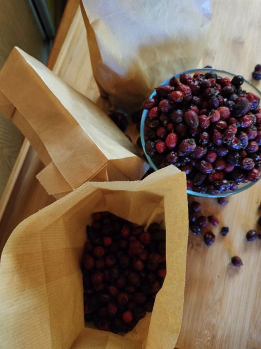 3 kg Suszona dzika róża 2025 ekologiczna