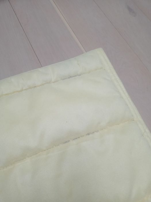 Czaprak york fair Play eskadra Kentucky