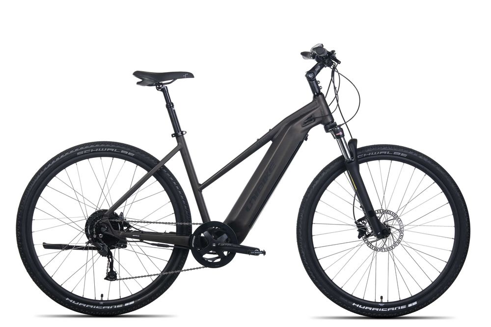 Rower elektryczny Unibike Falcon LDS ciemnozielony 17" / 19"