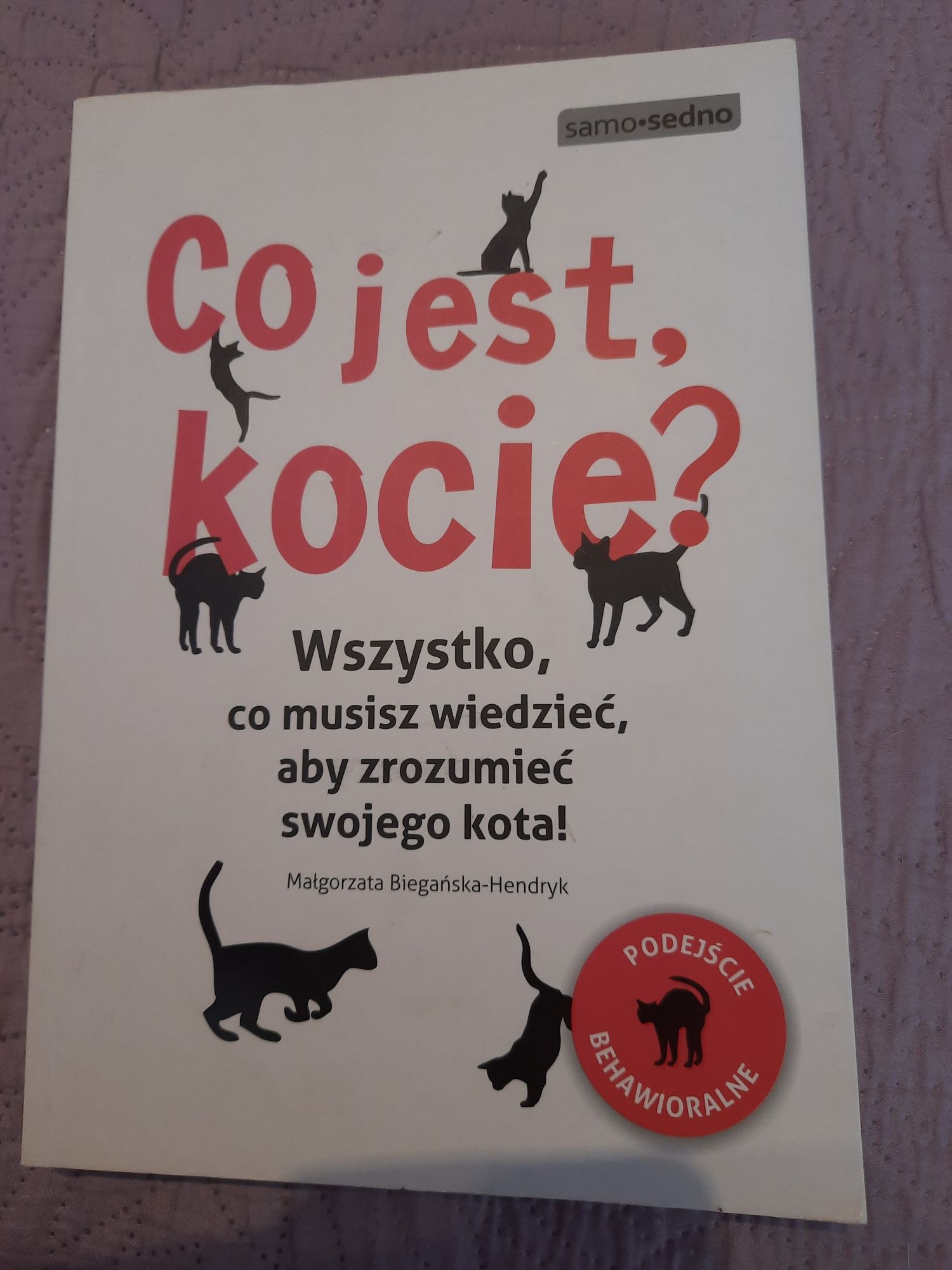 Co jest kocie? Biegańska-Hendryk