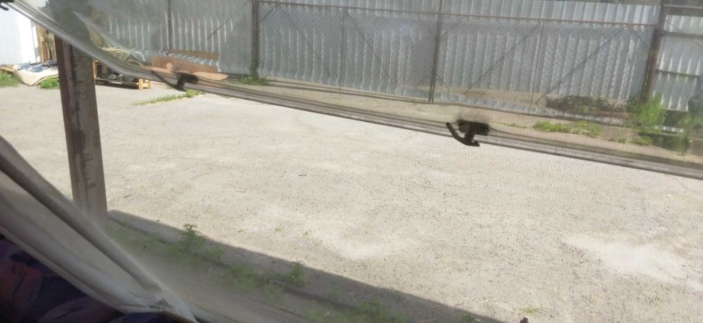 Будинок на колесах