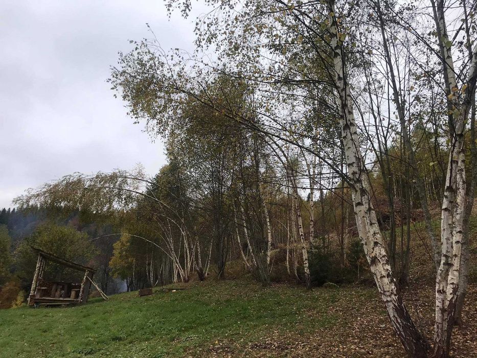 Продаж земельної ділянки Славсько ,Стрийського р-н,Львівської області