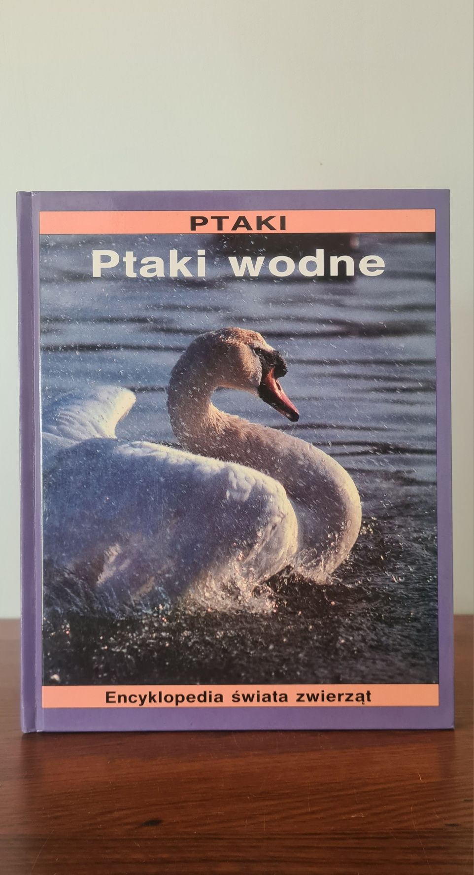 Ptaki - Ptaki wodne. Encyklopedia świata zwierząt