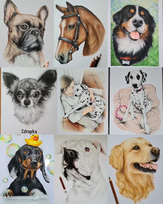 Portret/ zwierzęta/ na zamówienie