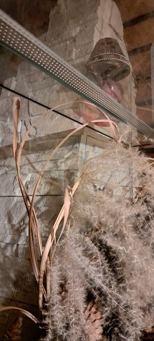 Terrarium 75x40x25cm