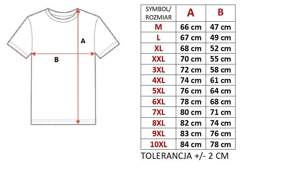 MĘSKA koszulka w ciekawych wzorach rozmiary od 4XL do 9XL