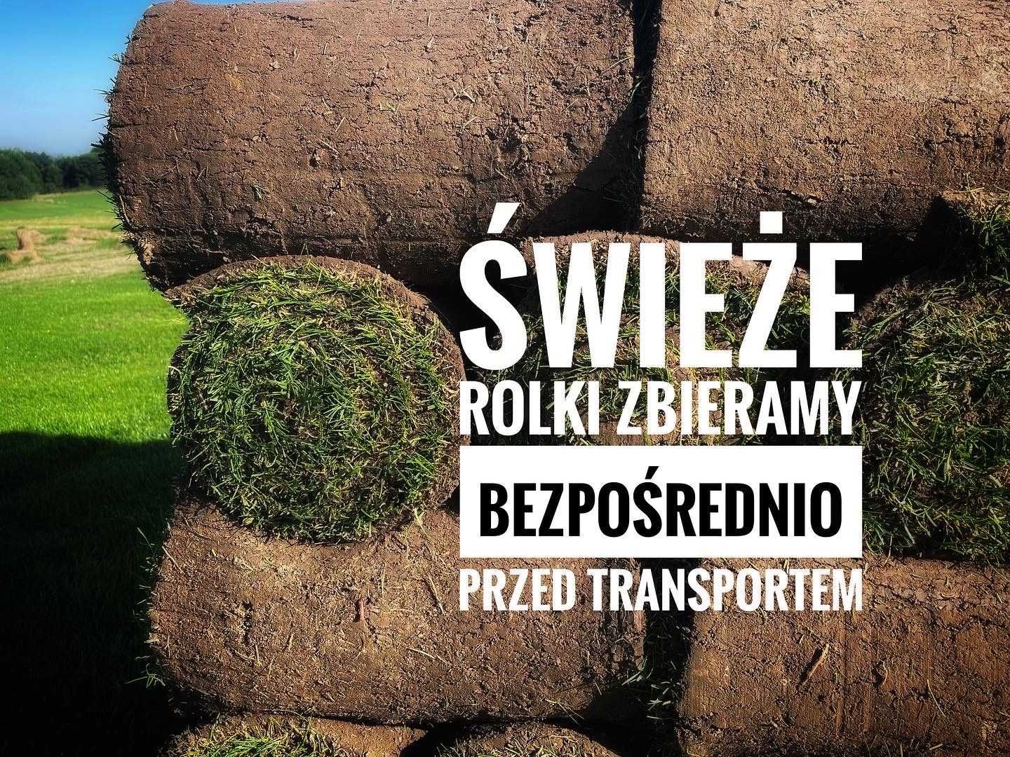 Trawa z rolki, trawnik w rolce, najszybsze terminy dostawy - producent