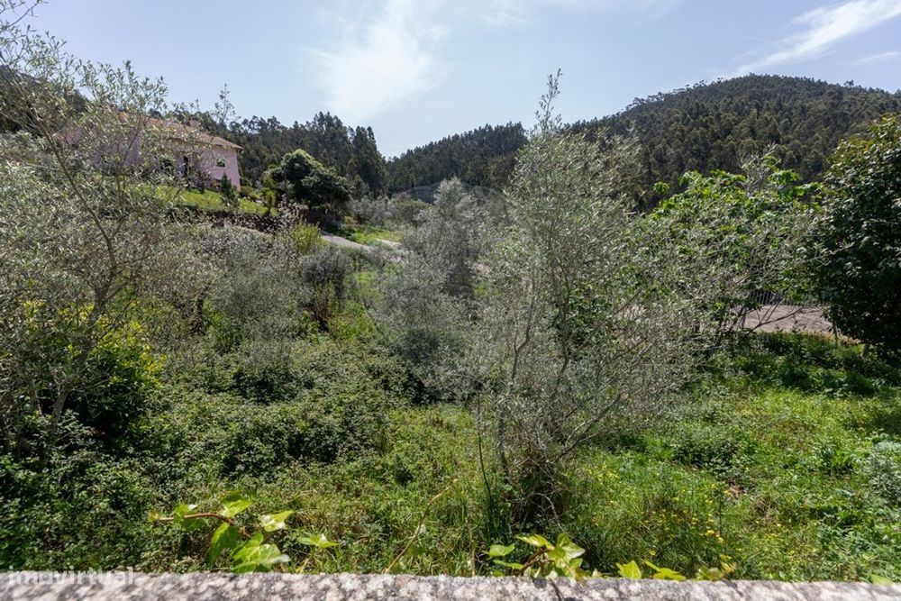 Terreno  para venda