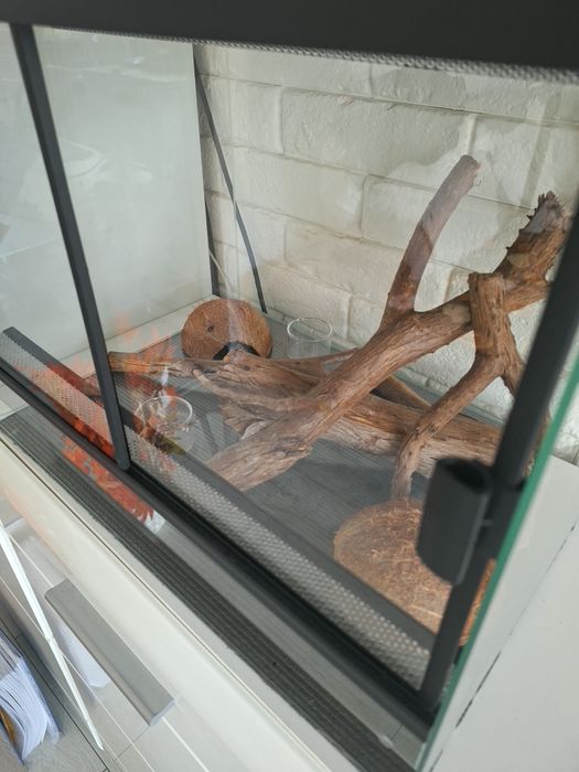 Terrarium Dł-42 cm,Gł-32,3 cm, Wys. - 39 cm