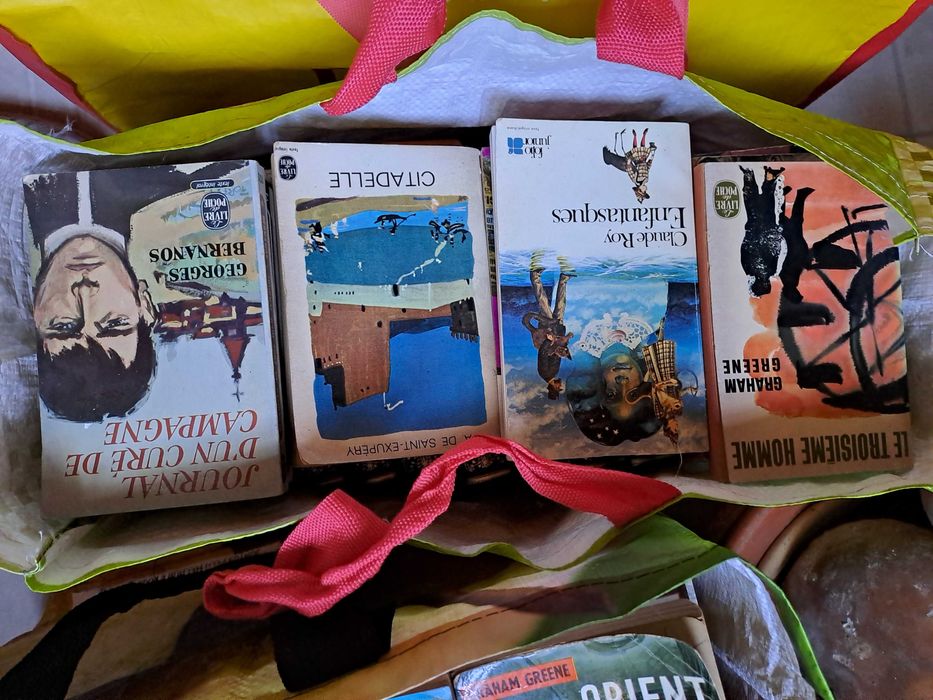 Lote de + 100 livros francês