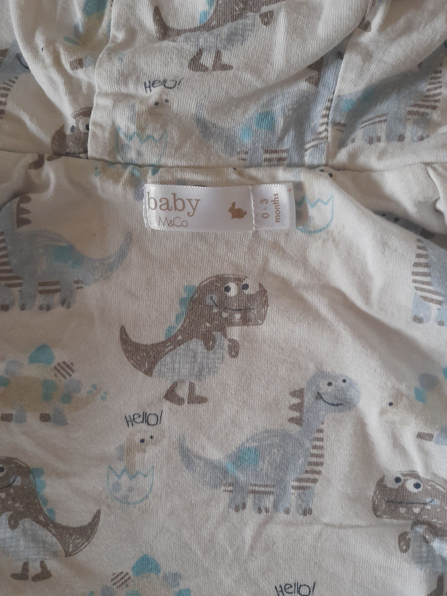 Bluza niemowlęca dinozaury rozmiar 50