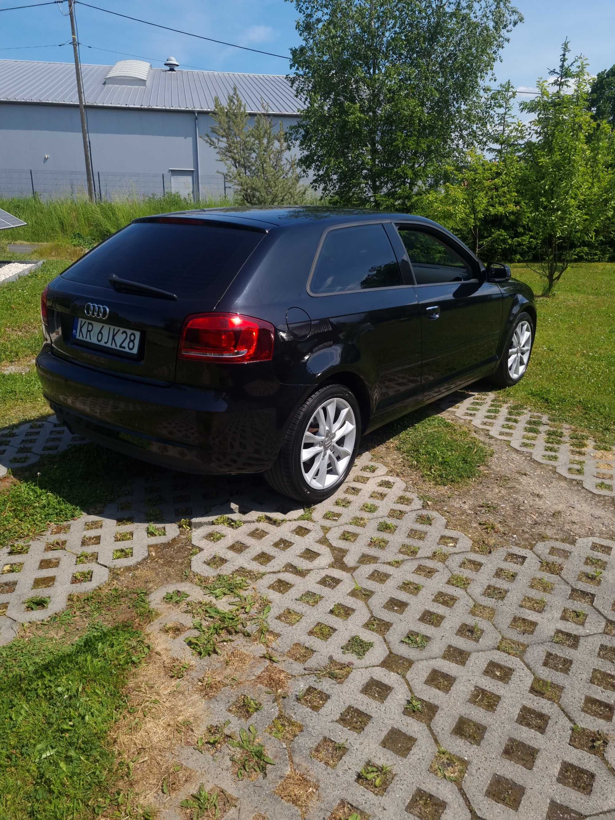 Audi a3 8p 2011 rok 1.6 tdi (Faktury,Nowy Dwumas,hamulce itp)