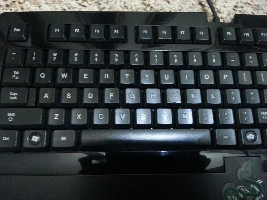 Teclado Raizer Arctosa