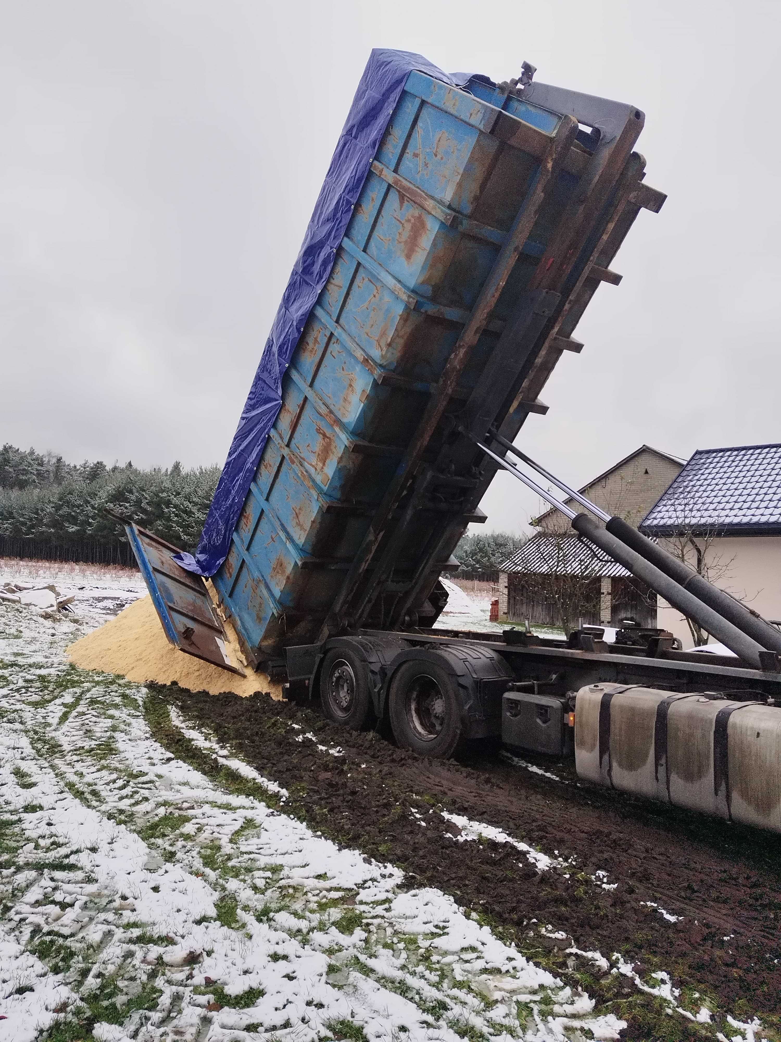 Trociny pod borówkę  transport