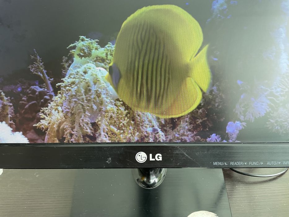 LG 19M37, 18,5 дюймів