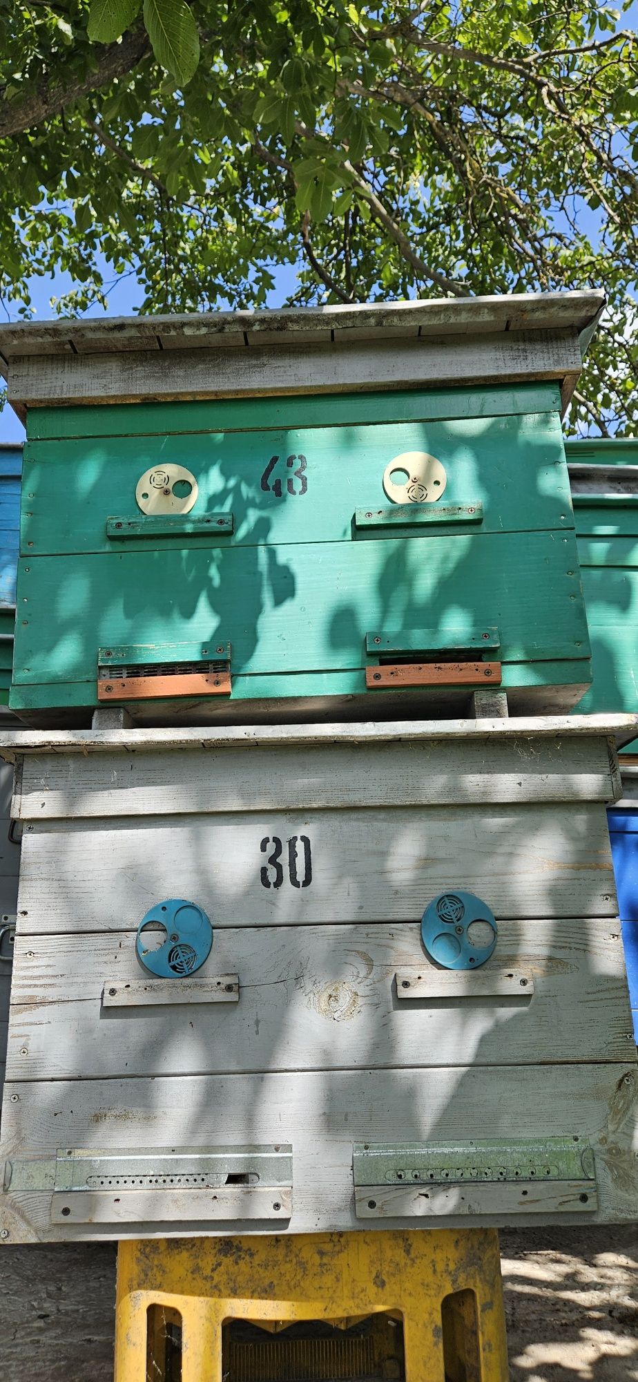 Продам вулики для  бджол