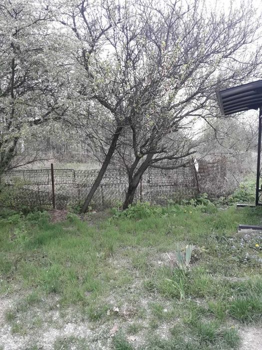 Продаж земельної ділянки 2.4 сотки в кооперативі Дружба (с. Ровжі).