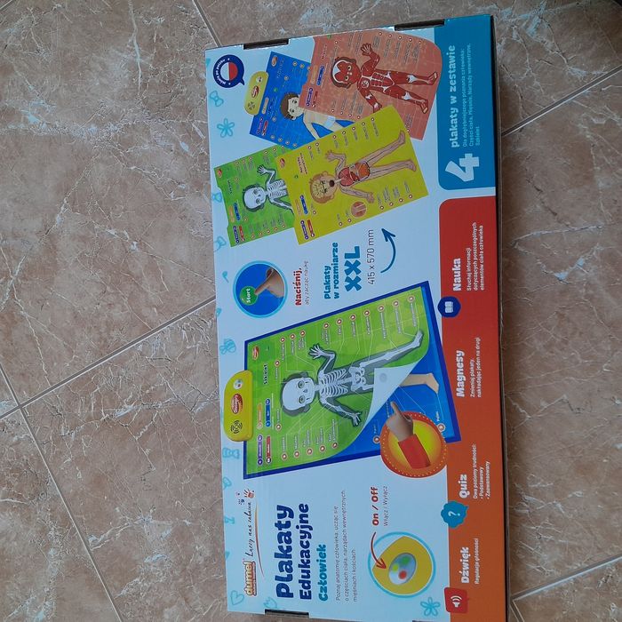 Plakaty edukacyjne z częściami ciała