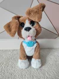 FurReal Charlie Beagle Hasbro piesek interaktywny Fur real pies