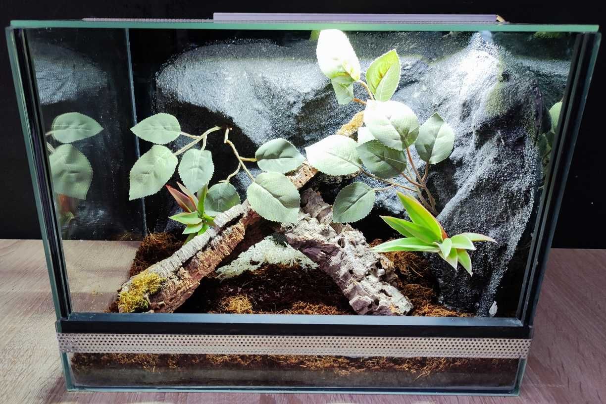 Terrarium szklane nr36 40/30/30 dla pająka ptasznika DOSTĘPNE