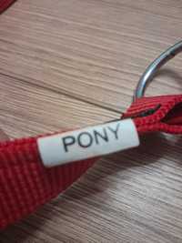 Kantar czerwony pony