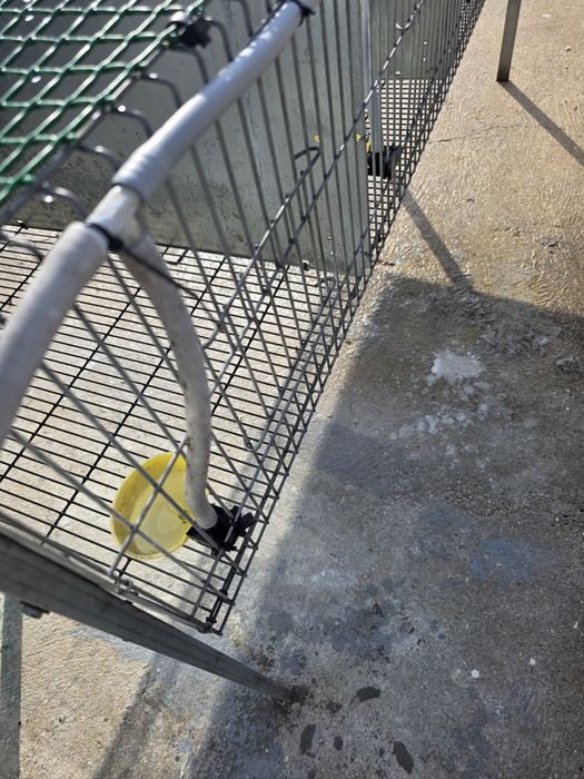 Jaula 5 Casais Perdizes reprodutoras completa