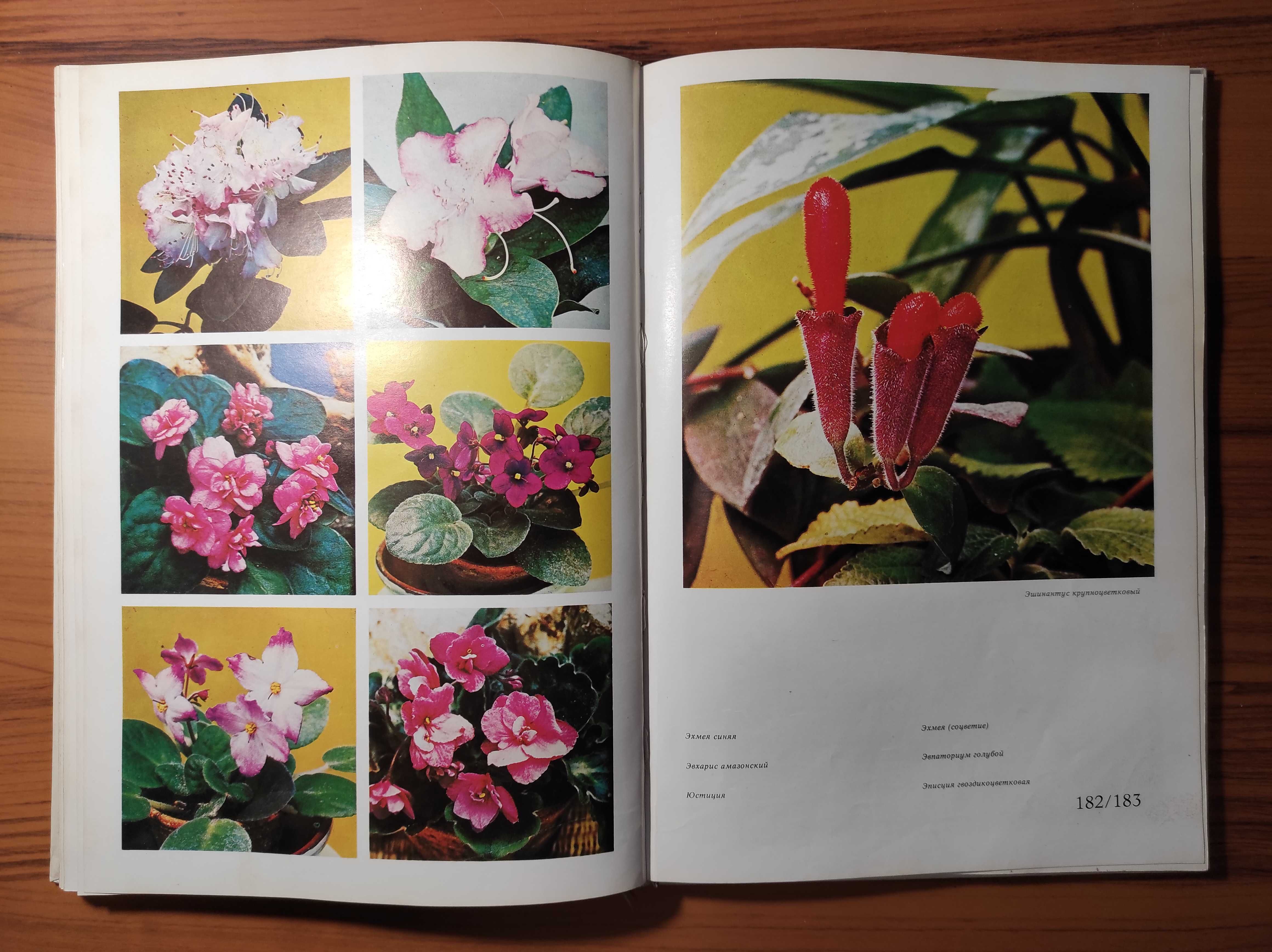 Цветы. Комнатные растения и декоративные кустарники (1979) - 260 с.