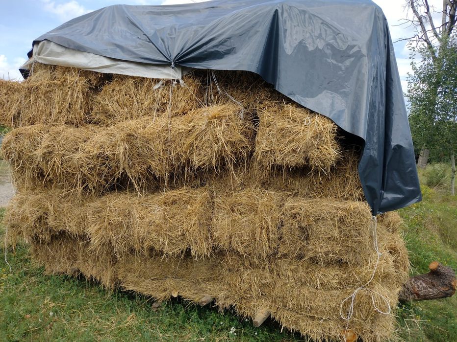 Тюки сіна на продаж