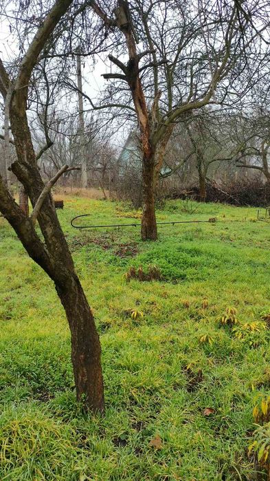 Продам дачу. Дачний участок. Власівка