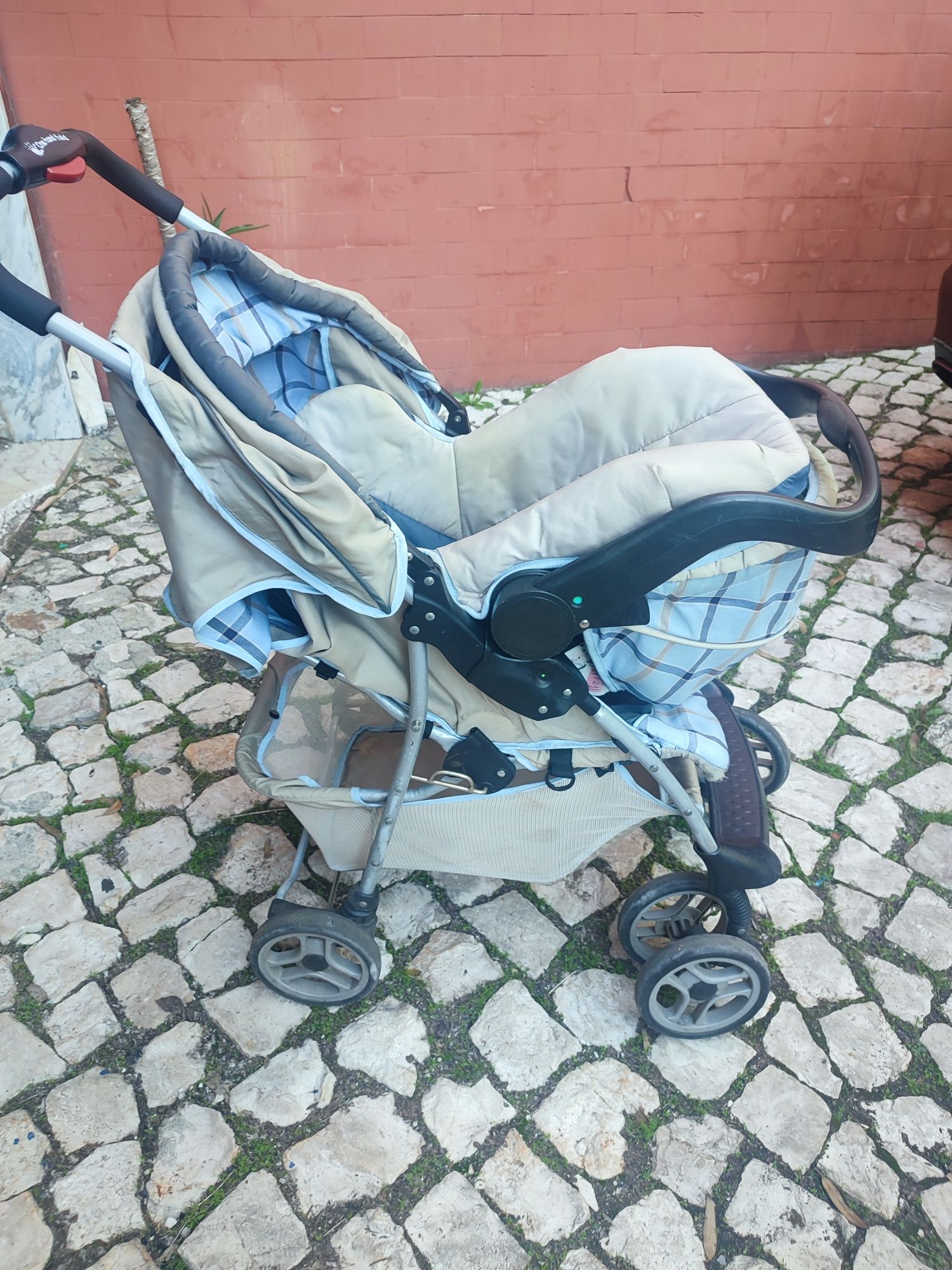 Carrinho bebe com ovo