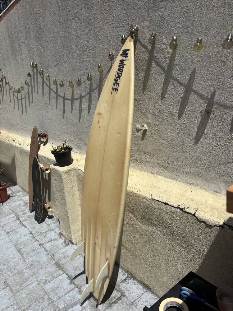 Mt Woodgee Surfboard