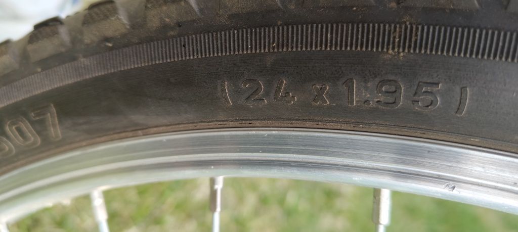 24 Cale Alcon Olpran