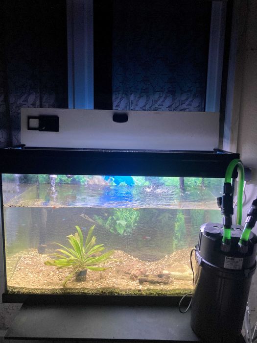 Aquário Aquatlantis de 150 L completo em boas condições