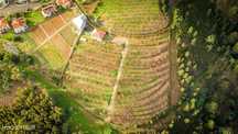 Terreno  Venda em Calheta,Calheta (Madeira)